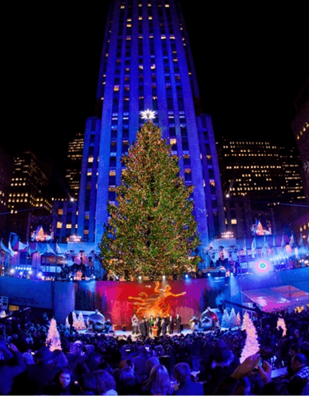 Photo 5: Christmas in New York